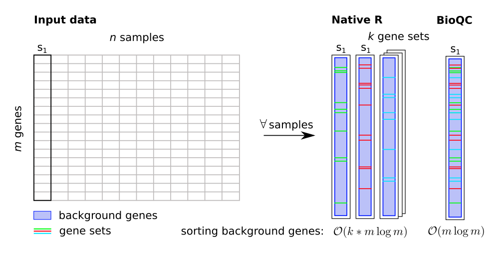 BioQC speeds up the Wilcoxon-Mann-Whitney test by avoiding futile sorting operations on the same sample.